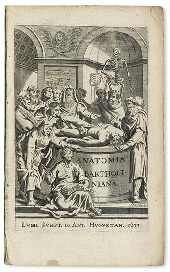 BARTHOLIN, THOMAS. Anatome.  1677